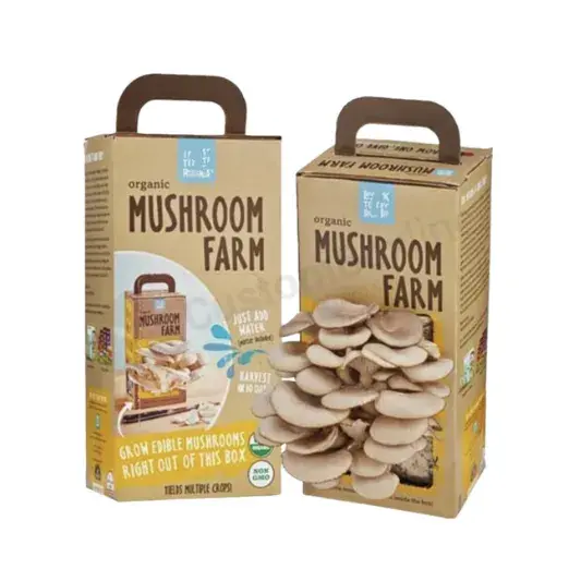 custom_mushroom_growing_kit_packaging_boxes_0.webp